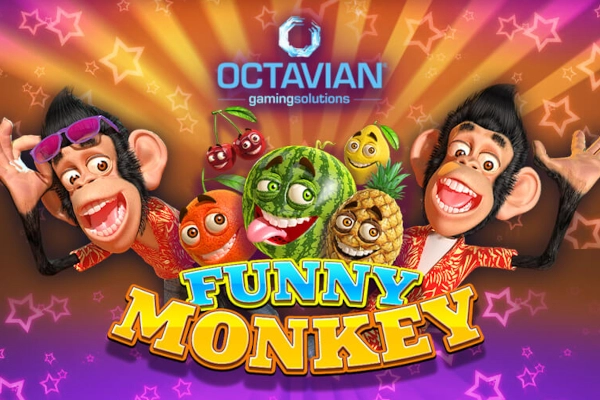 Funny Monkey